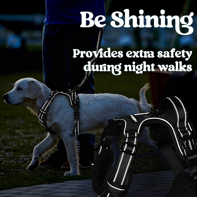 rabbitgoo Dog Harness Small Sized, No Pull Pet Harness with 3 Buckles, Adjustable Soft Padded Vest with Control Handle, Walking Reflective Pet Vest for Small Dogs, Black, S