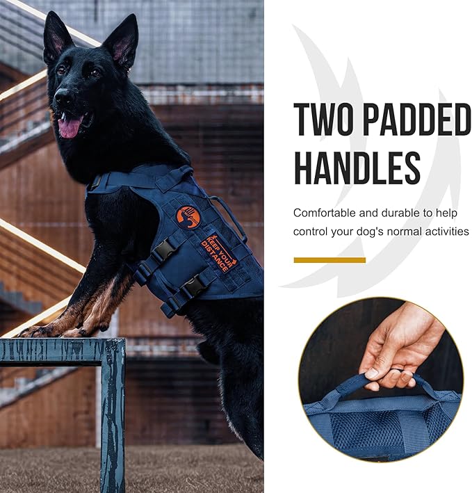 OneTigris No Pull Tactical Dog Harness for Small Medium Dogs, Mesh Design Service Dog Vest Breathable Military Dogs Molle Vests with Handles, Harness for Walking Hiking Training (Blue, M)
