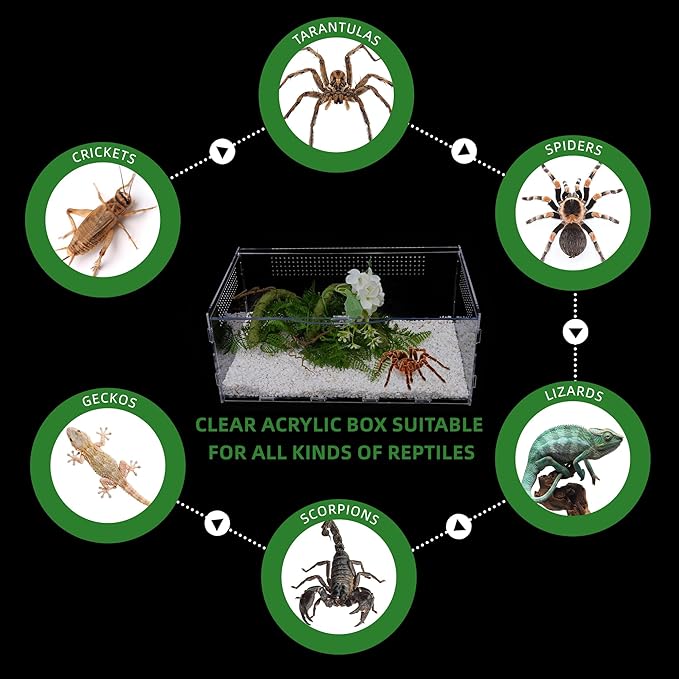 Micro Habitat Terrarium Enclosure, Jumping Spider Enclosure with Locking Latch for Small Tree Dwelling Reptiles,Tarantula, Amphibians, Spiders,Invertebrates (6x8x14 inxh)