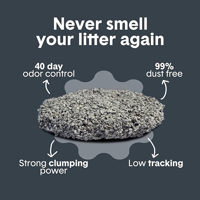 Boxie® Probiotic 40 Day Natural Odor Control Cat Litter, 28lb Clumping Clay Kitty Litter