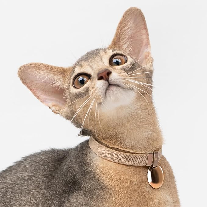Safety Cat Collar - U.S. IDA Gold Awarding Design, Elastic Quick Release, Non Breakaway - Lightweight for Kitten, Neck Fit 5.9'-11.8' for All Small Large Cat,S(Vivid Red)
