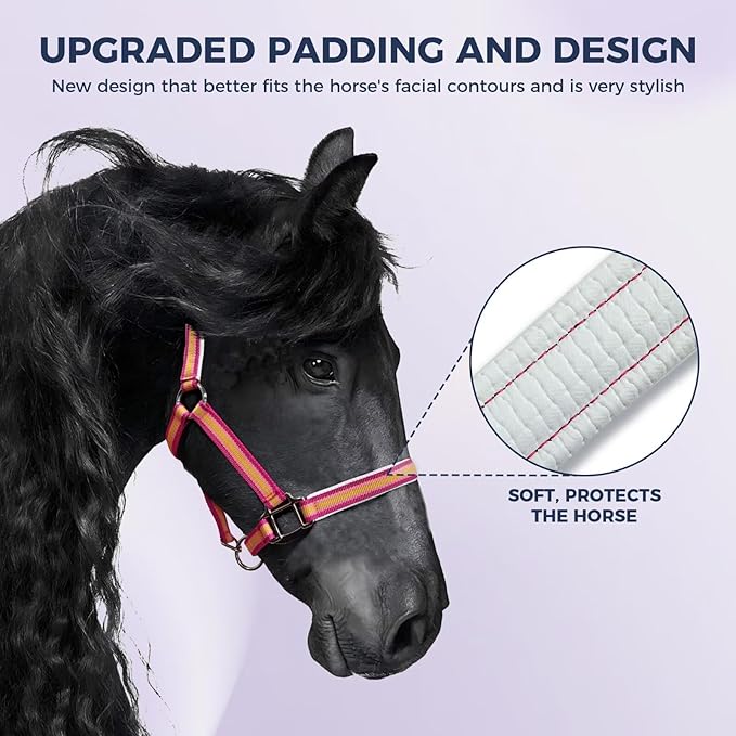 JWODVNTH Adjustable Horse Halter with PP Webbing, Durable Horse Halters with Zinc Alloy Hardware, Horses Training Equipment to Prevent Friction for Training, Competitions ＆ Daily