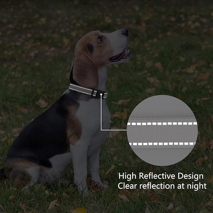 Reflective Dog Collar Padded with Soft Neoprene Breathable Quick Release Basic Dog Collars for Medium Large Dogs Boy Girl Silver