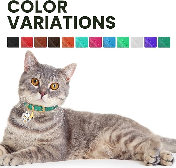 BRONZEDOG Leather Cat Collar with Removable Bells Non Breakaway Kitten QR Tag for Girl Boy (Pink & Silver, 9-12 inch)