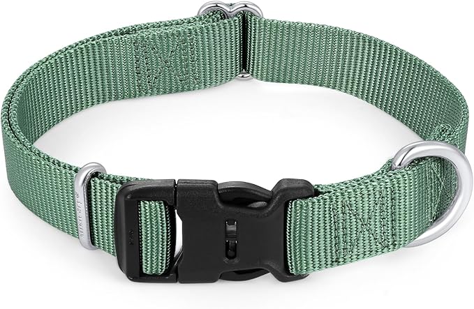 Mikivery Nylon Dog Collar with Quick Release Buckle Soft Adjustable Sturdy for Small Medium Large Dogs Emerald,M