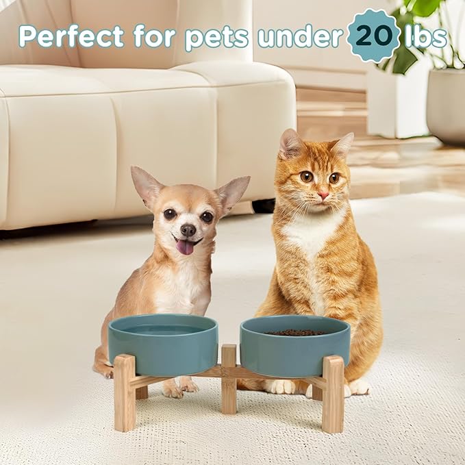 SPUNKYJUNKY Elevated Dog Bowls Ceramic, 5.1'' Dogs and Cat Food Water Bowls Raised with Non-Slip Bamboo Stand for Puppy Small Sized Breed Microwave Dishwasher Safe - 13.5 OZ,Dark Green