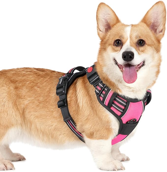 rabbitgoo Dog Harness Small Sized, No Pull Pet Harness with 3 Buckles, Adjustable Soft Padded Vest with Control Handle, Walking Reflective Pet Vest for Small Dogs, Rose Pink, S