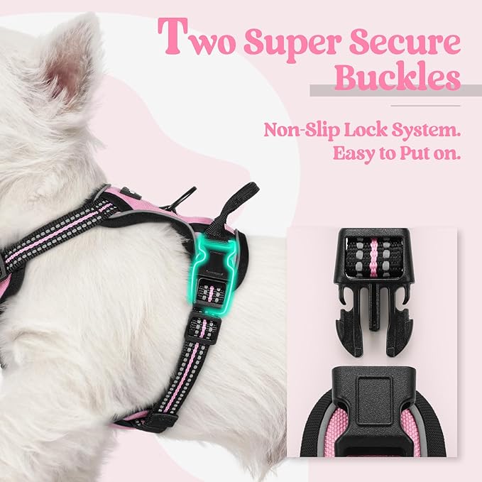 rabbitgoo Dog Harness No Pull with 2 Leash Clips, Adjustable Soft Padded, Reflective Oxford No Choke Pet Vest with Easy Control Handle for Puppy, Pink, XS