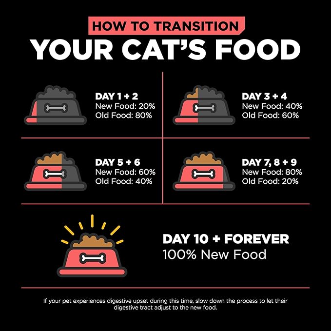 Go! Solutions Carnivore, Grain-Free, Protein Rich Dry Cat Food, Salmon and Cod Recipe, 8 lb Bag