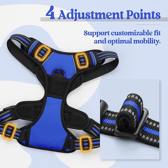 rabbitgoo Dog Harness No Pull with 2 Leash Clips, Adjustable Soft Padded, Reflective Oxford No Choke Pet Vest with Easy Control Handle for Small Dogs, Dazzling Blue, S