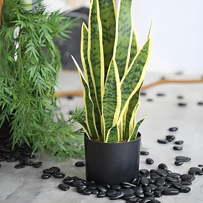 5 lbs Small Black Pebbles - 3/8 inch Decorative Stones for Indoor Plants, Outdoor, Vase, Landscaping & Garden