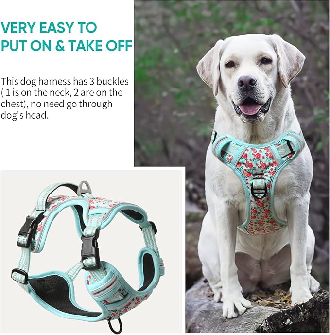 Timos Dog Harness,NO Need Go Over Dogs Head 3 Snap Buckles Pet Harness with 2 Leash Clips,Adjustable Soft Padded No-Pull,Reflective No-ChokeOxford Vest for Small Medium Large Dogs,X-Large(Packof1)