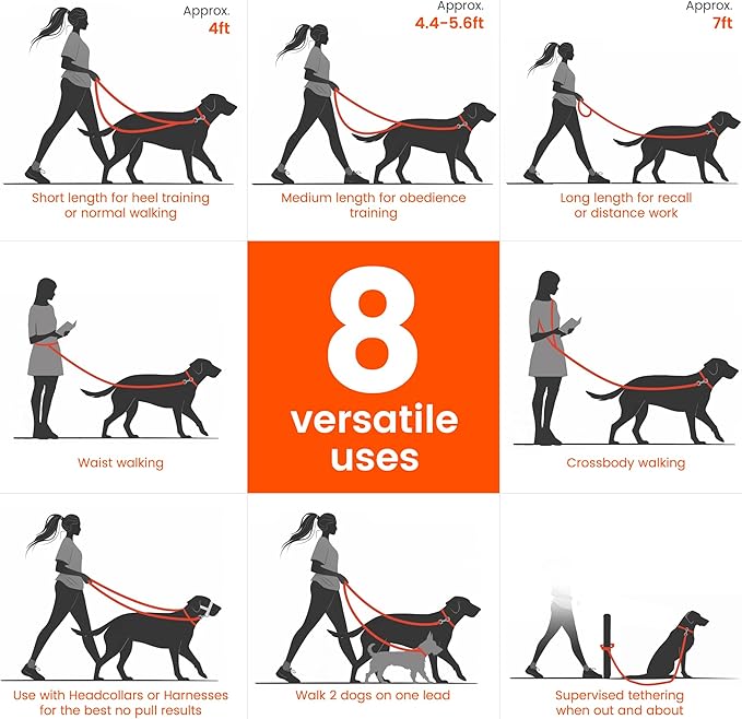HOWGO 8-in-1 Multifunctional Hands Free Dog Training Leash with Padded Handle, 8.5 FT Nylon Adjustable Length, Lightweight Aviation Aluminum, Crossbody Waist Leash for Puppy Medium Large Dogs (Black)