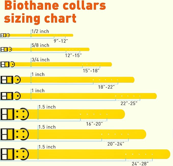 Dogline Biothane Waterproof Dog Collar Strong Coated Nylon Webbing with Black Hardware Odor- Proof for Easy Care Easy to Clean High Performance Fits Small Medium or Large Dogs, Lemon Yellow