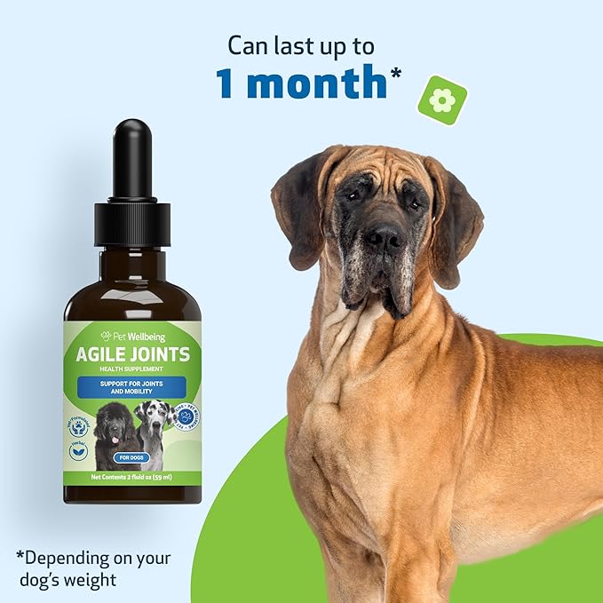 Pet Wellbeing Agile Joints for Dogs - Hip and Joint Health, Mobility, Devil’s Claw, Boswellia, Joint Ligament and Cartilage - Veterinarian-Formulated Herbal Supplement 2 oz (59 ml)