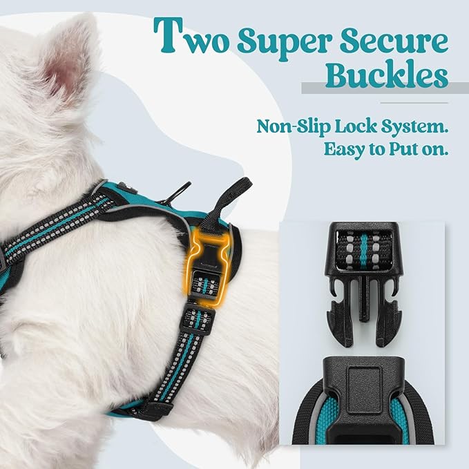 rabbitgoo Dog Harness No Pull with 2 Leash Clips, Adjustable Soft Padded, Reflective Oxford No Choke Pet Vest with Easy Control Handle for Puppy, Teal, XS