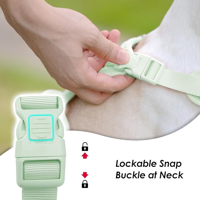 No Pull Dog Harness, Puppy Vest with Front Clip for Small Medium Large Sized Dog(Light Green,XS)