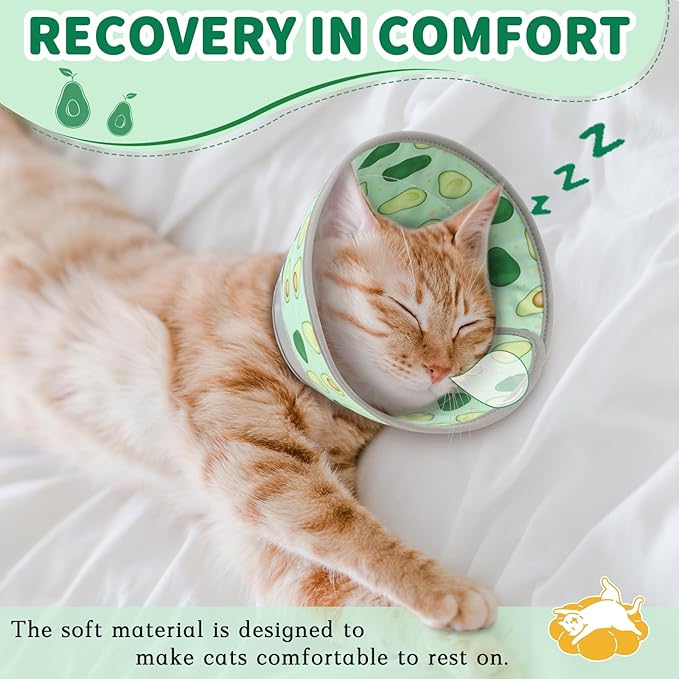 Cat Cone Collar Soft, Comfortable Cat Recovery Collar Pet Cone for Small Large Cats, Lightweight Elizabethan Collar for Cats Kittens After Surgery Prevent from Licking Wounds, Green, M