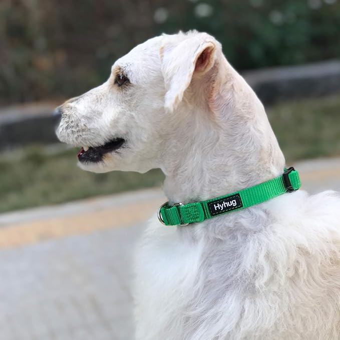 Hyhug Solid Color Nylon Martingale Collar, Heavy Duty Escape-Proof Pup Dog Collar. (Small, Lime Green)