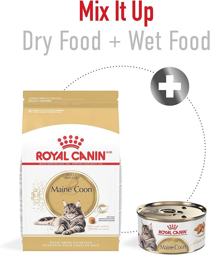 Royal Canin Maine Coon Breed Adult Dry Cat Food, 14 lb bag