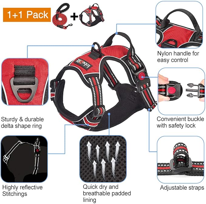 No Pull Dog Harness Adjustable Reflective Oxford Easy Control Medium Large Dog Harness with A Free Heavy Duty 5ft Dog Leash (M (Neck: 14.5"-20.5", Chest: 22"-28"), Red Harness+Leash)