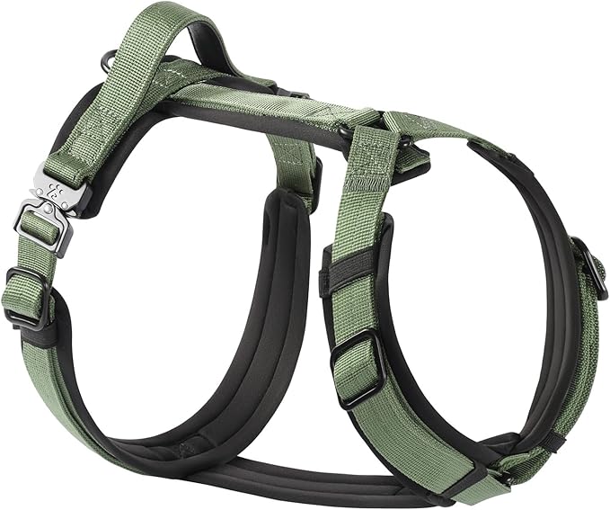 CLEPAWS Dog Harness for Medium Dogs, No Pull Dog Harness Easy Walk with Metal Hardware, Ergonomic Y-Shaped Design, Soft Padding, Padded Handle, Durable High-Tensile Nylon (Evergreen, M)