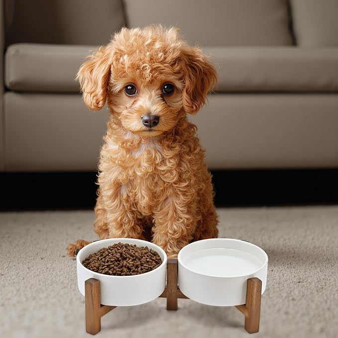 SPUNKYJUNKY Ceramic Dog Bowls with Acacia Wood Stand - Raised Dog Food and Water Bowl Set for Small Dogs (13.52 OZ, White)