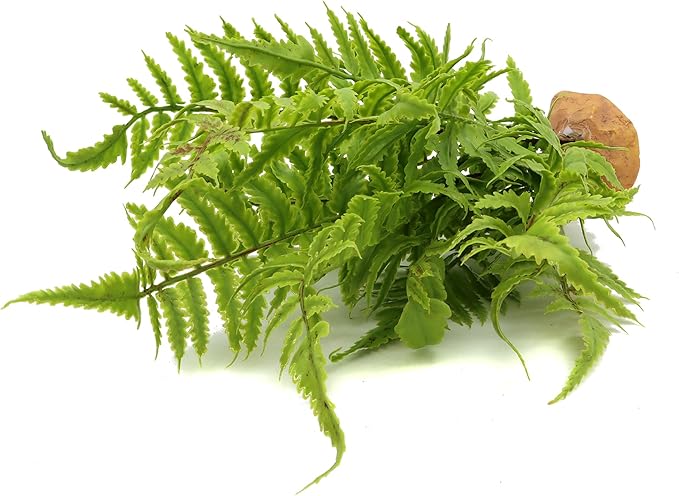 JIHAQUA Lifelike Reptile Tank Plant Decor - Realistic Artificial Plastic Plant for Terrariums and Pet Enclosures (Style B)