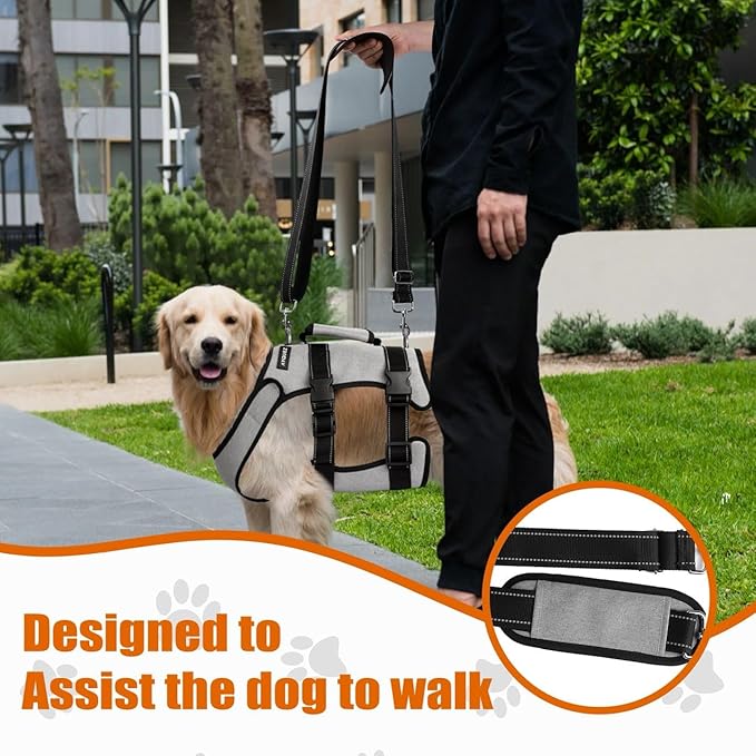 Ayquez Dog Lift Harness with Storage and Transport Bag, Dog Harness with Handle for Lifting & Hip dysplasia, arnés para Perros pequeños, pechera para Perros (Gray, XXL)