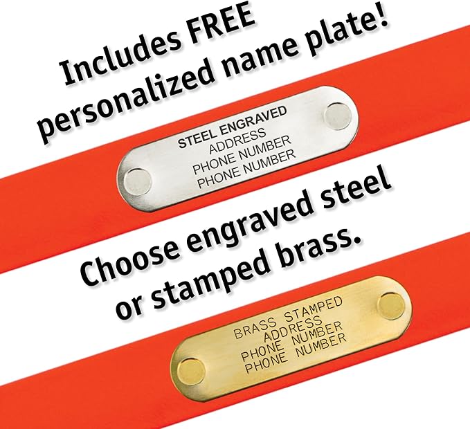 Biothane Custom Dog Collar – Waterproof, Stink-Proof Personalized Collar with Name & Phone Number – Durable, Many Sizes and Colors – Assembled in USA (Sky Blue)