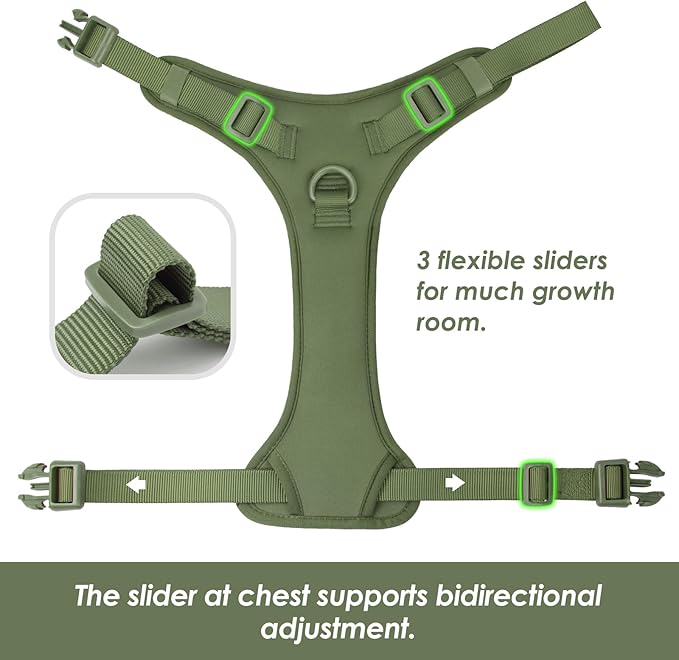 No Pull Dog Harness, Puppy Vest with Front Clip for Small Medium Large Sized Dog (Misty Green,XL)