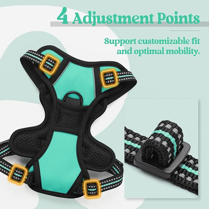 rabbitgoo Dog Harness No Pull with 2 Leash Clips, Adjustable Soft Padded, Reflective Oxford No Choke Pet Vest with Easy Control Handle for Puppy, Turquoise, XS