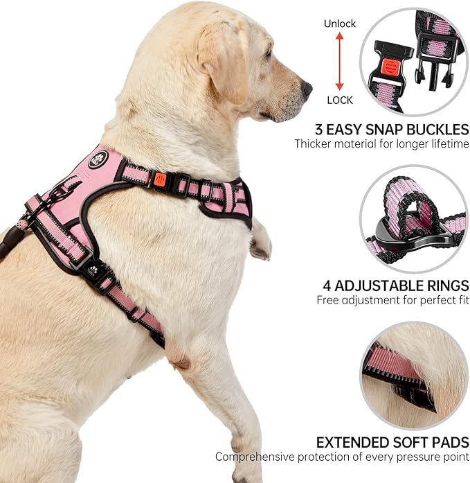 NESTROAD No Pull Dog Harness,Adjustable Oxford Dog Vest Harness with Leash,Reflective No-Choke Pet Harness with Easy Control Soft Handle for Small Dogs(Small,Pink)