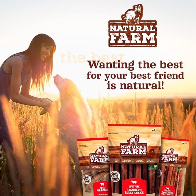 Natural Farm Odor-Free Thick Bully Sticks (12”, 10-Pack) All-Natural Long-Lasting Dog Chews, 100% Beef Pizzle, Grass-Fed, Grain-Free, Protein for Muscle Development & Energy, Perfect for Large Dogs