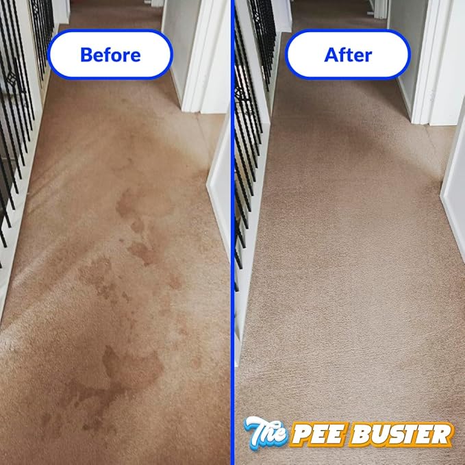 Generic Peebuster Pet Stain & Odor Remover - Cleaning Spray for Dog and Cat Urine, 1 Count (Pack of 1)