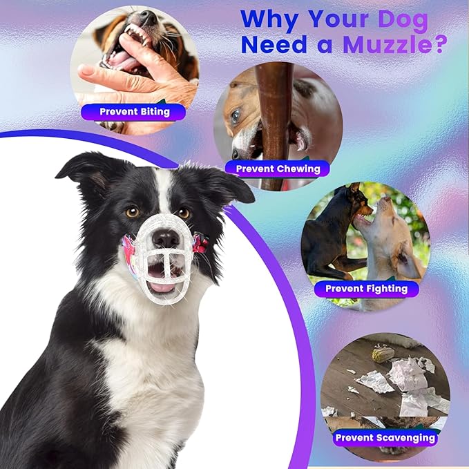 Dog Muzzle, OKKIC Basket Muzzle Anti Biting Chewing, Sturdy Lightweight Muzzle Allows Panting Drinking,Muzzle for Small Medium Large Dogs, Suitable for Grooming Trimming Training (Transparent, Size6)