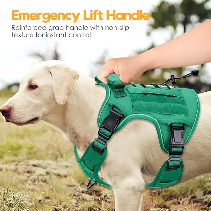 Heavy-Duty Tactical Dog Harness for Large Dogs, No Pull Adjustable Reflective Pet Vest with Molle System, K9 Military-Grade Control for Service Training, Outdoor & 10+ Breeds, Turquoise, Large