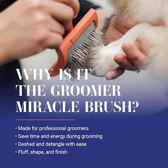 Chris Christensen Big G Dog Slicker Brush, Groom Like a Professional, Fluff Detangle Style, Saves Time Energy, Made in Germany, Coral, Medium