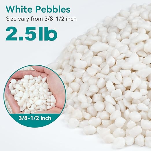 2.5 lbs Small White Rocks for Planters, 3/8" White Pebbles for Vases, Decorative Small Stones for Plants, Succulents, Bamboo, Terrarium, Landscape, Garden
