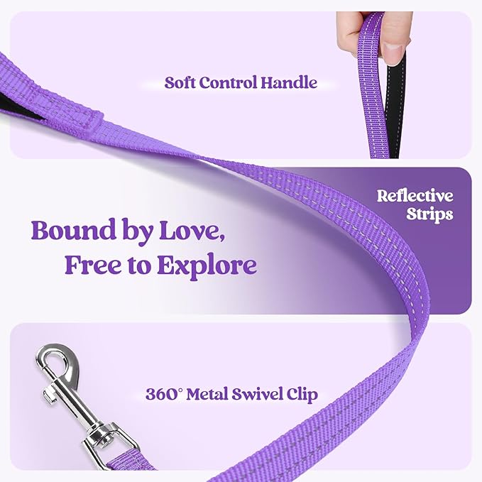 rabbitgoo Dog Harness Small Sized and Leash Set, Step in Soft Light Puppy Vest, Breathable Mesh Pet Harness, Reflective for Safe Outdoor Walking, Purple XS