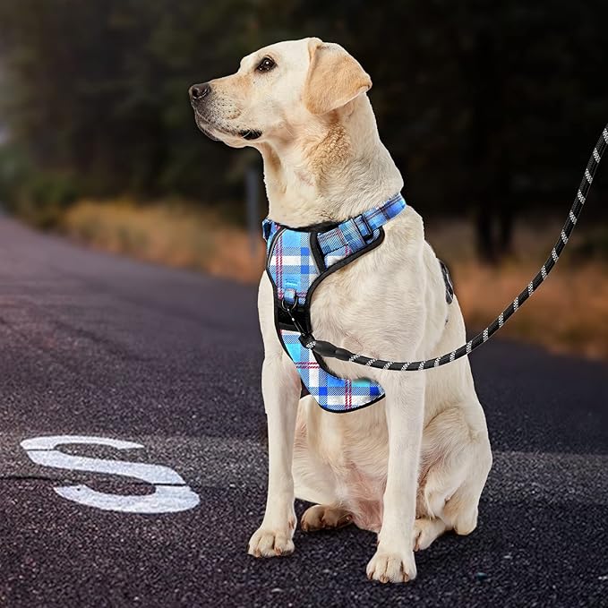 IVY&LANE No Pull Dog Harness with Leash Set, Reflective No Choke Pet Vest,Adjustable Oxford Dog Vest Harness with Easy Control Handle for Small Dogs (Checkered Blue,S)