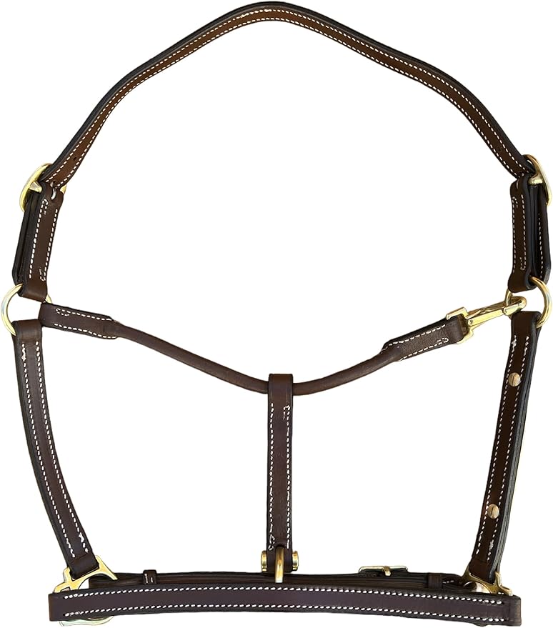 Leaders 3/4" Leather Halter for Horses with Customized Engraved Name Plate Brown Leather with Solid Brass Hardware