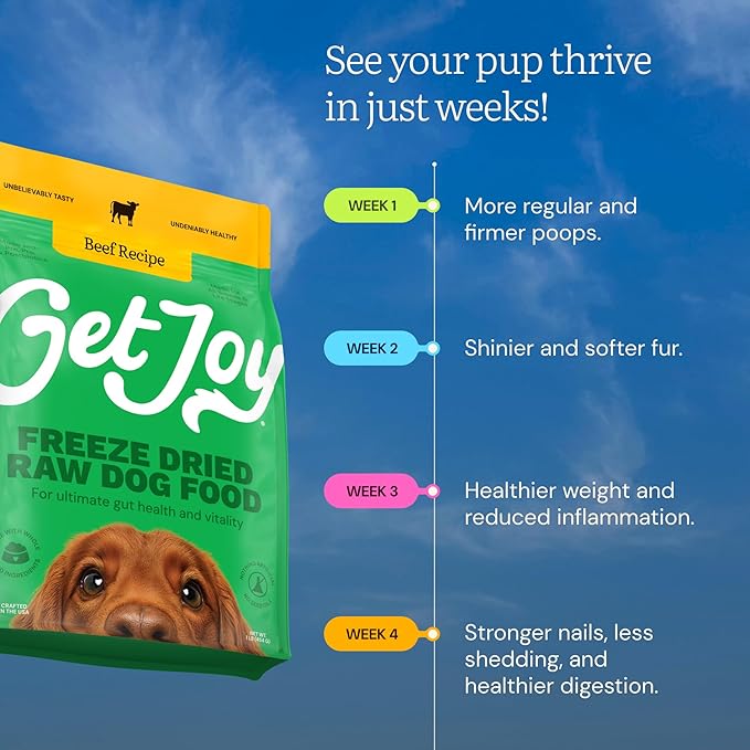 Get Joy Gut Health Fresh Freeze Dried Raw Meal, Beef Recipe, 16 Ounce Bag, Dog Food for Dogs of All Breeds and Life Stages, PhD Animal Nutritionist Formulated, USDA Beef, Made in USA