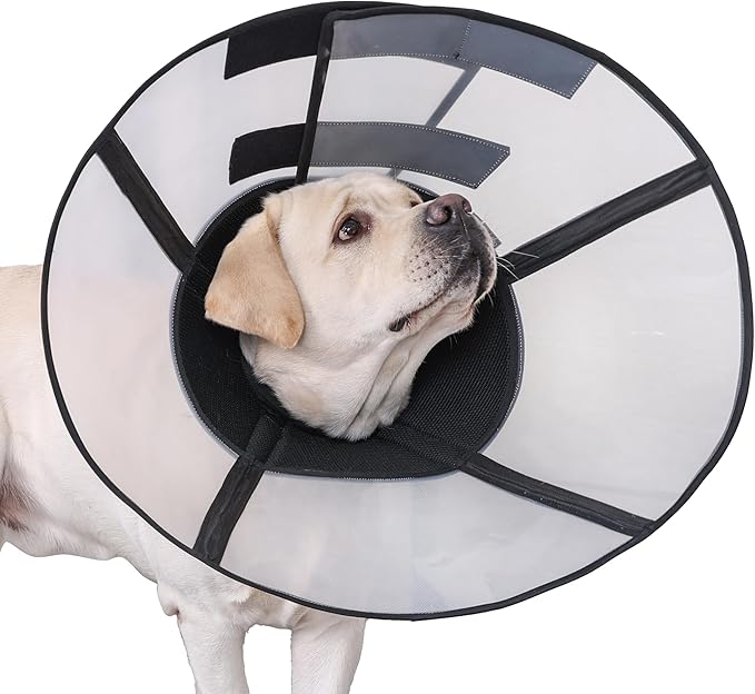 Soft Dog Cone Suitable for Postoperative Use in Dogs, Adjustable and Comfortable Elizabeth Collar, Used for Wound Care, Sterilization, Suitable for Medium to Large Dogs (L)