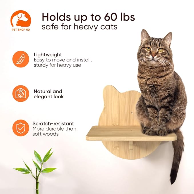 Wall-Mounted Cat Furniture for Climbing - Indoor Wooden Floating Shelves, Perches, Hammock, Bed, Bridges, Walkways - Different Models