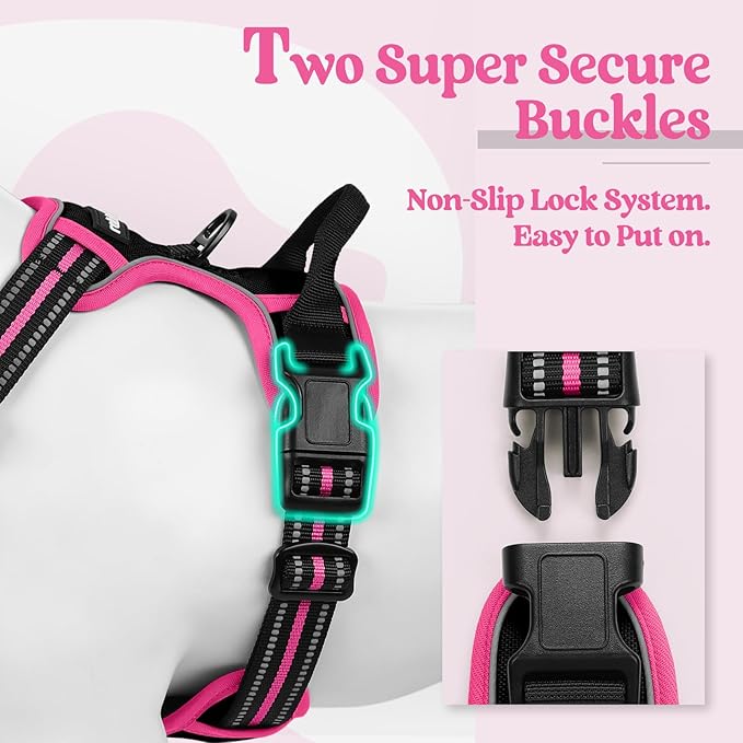 rabbitgoo Dog Harness No Pull with 2 Leash Clips, Adjustable Soft Padded, Reflective Oxford No Choke Pet Vest with Easy Control Handle for Large Dogs, Black & Hot Pink, XL