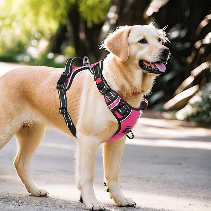 Timos Dog Harness, 3 Snap Buckles No-Pull Soft Padded Dog Vest with 2 Metal Leash Clips, Adjustable Reflective No Choke Pet Harness with Easy Control Handle for Extra Large Dogs,Rosy,L