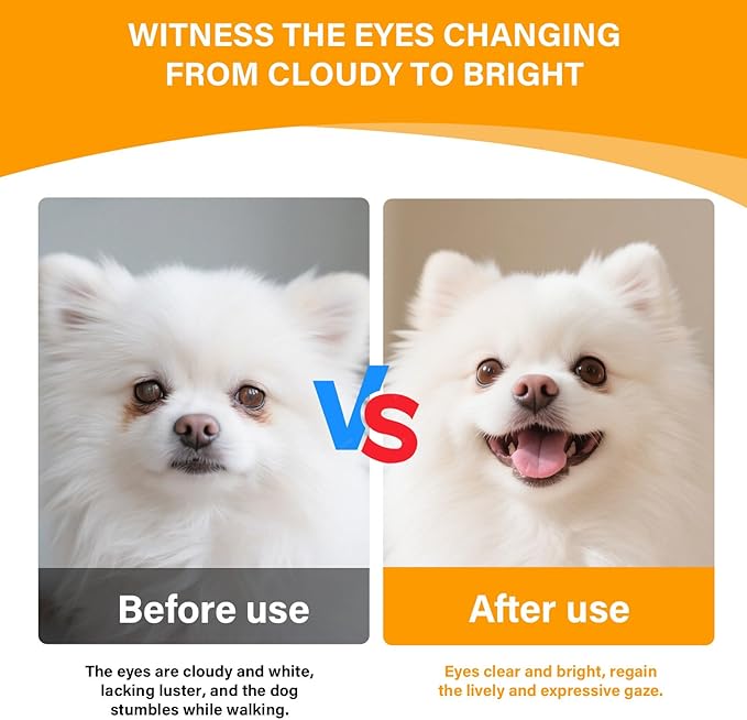 Eye Supplements for Dogs - Vision Support Soft Chews with Lutein, DHA & Vitamin C | 120ct Salmon Flavor Tear Stain Chews | Cataract & Dry Eye Relief Supplement (120 Ct, Salmon)