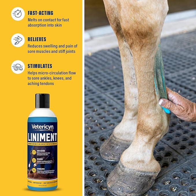 Vetericyn Mobility Equine Liniment for Fast-Acting Relief of Muscles and Joints – Menthol-Based Topical Analgesic for Horses – 16 Ounces