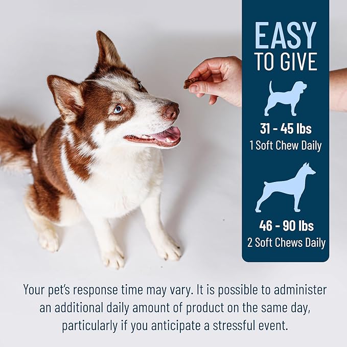 Nutramax Solliquin Calming Behavioral Health Supplement for Large Dogs - with L-Theanine, Magnolia/Phellodendron, and Whey Protein Concentrate, 75 Soft Chews